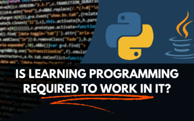 Is Learning Programming Required to Work in IT?